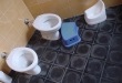 img7