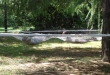 img7
