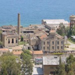 arenella