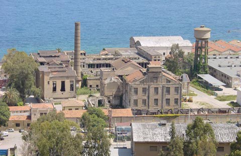 arenella